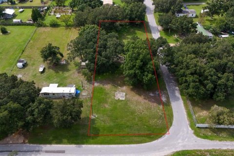 Terreno en venta en Bartow, Florida № 1373429 - foto 3