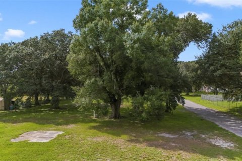 Terreno en venta en Bartow, Florida № 1373429 - foto 6