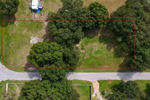 Terreno en venta en Bartow, Florida № 1373429 - foto 2