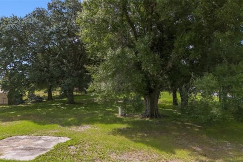 Terreno en venta en Bartow, Florida № 1373429 - foto 7