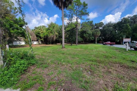 Terreno en venta en Dunnellon, Florida № 1373430 - foto 2