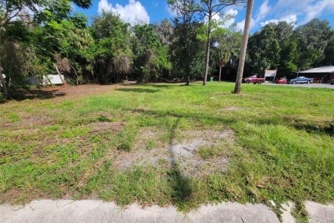 Terreno en venta en Dunnellon, Florida № 1373430 - foto 3