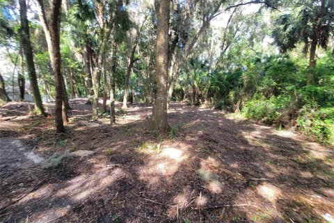 Land in Dunnellon, Florida № 1373430 - photo 7