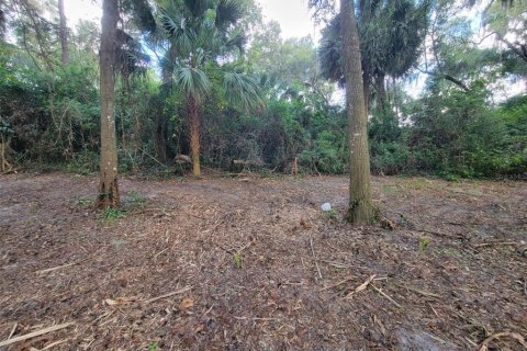 Terreno en venta en Dunnellon, Florida № 1373430 - foto 6