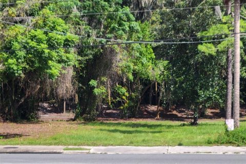 Terrain à vendre à Dunnellon, Floride № 1373430 - photo 8