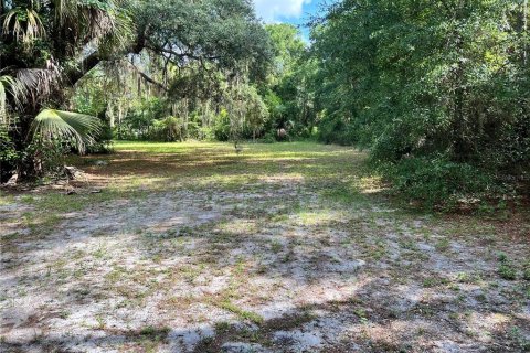 Купить земельный участок в Делтона, Флорида № 230913 - фото 4