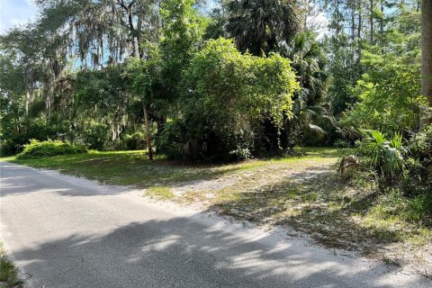 Купить земельный участок в Делтона, Флорида № 230913 - фото 2