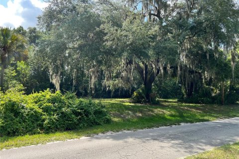 Купить земельный участок в Делтона, Флорида № 230913 - фото 12