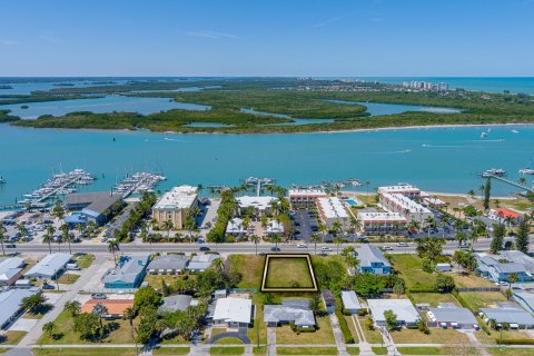 House in Hutchinson Island South, Florida 3 bedrooms, 280.75 sq.m. № 1079669 - photo 15