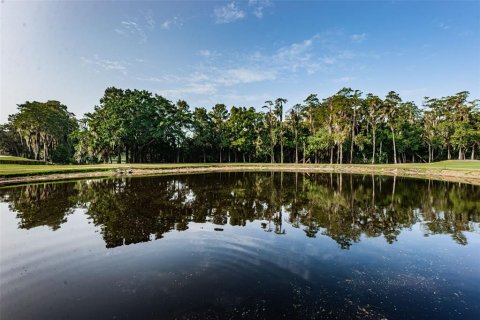 Condo in Palm Harbor, Florida, 1 bedroom  № 1386509 - photo 24