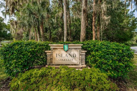 Condo in Palm Harbor, Florida, 1 bedroom  № 1386509 - photo 25