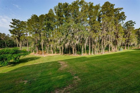 Condo in Palm Harbor, Florida, 1 bedroom  № 1386509 - photo 4