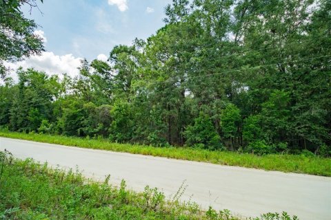 Terreno en venta en Lake City, Florida № 1303447 - foto 9