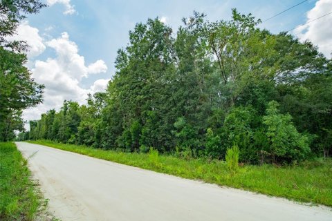 Terreno en venta en Lake City, Florida № 1303447 - foto 8