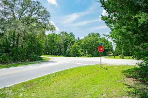 Terreno en venta en Lake City, Florida № 1303447 - foto 10