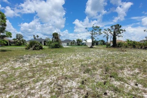 Land in Rotonda, Florida № 228320 - photo 7