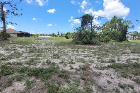 Terreno en venta en Rotonda, Florida № 228320 - foto 3