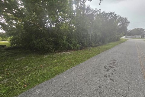 Terreno en venta en Bradenton, Florida № 1351100 - foto 7