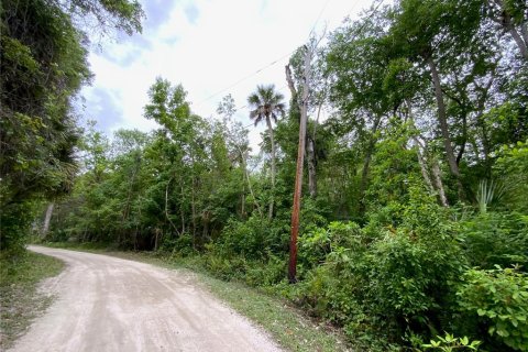 Купить земельный участок в Киссимми, Флорида № 1090720 - фото 3