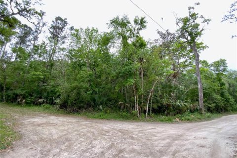 Купить земельный участок в Киссимми, Флорида № 1090720 - фото 4