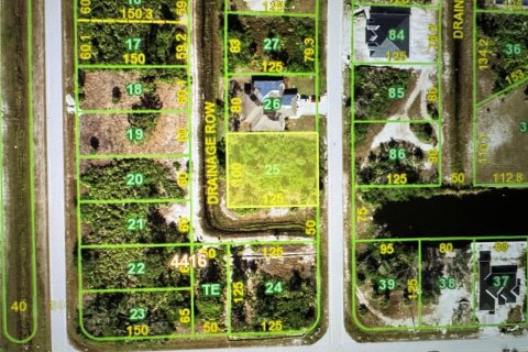 Land in Port Charlotte, Florida № 1245991 - photo 1