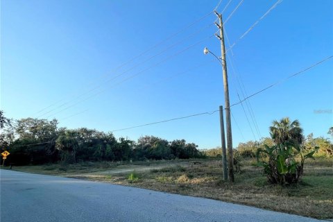 Terrain à vendre à Port Charlotte, Floride № 1251571 - photo 3