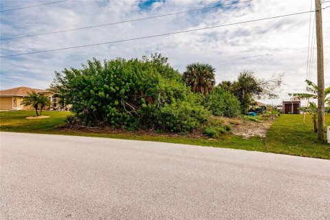 Land in Port Charlotte, Florida № 966287 - photo 9