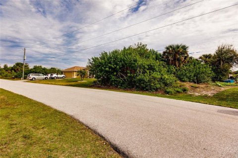 Terreno en venta en Port Charlotte, Florida № 966287 - foto 10