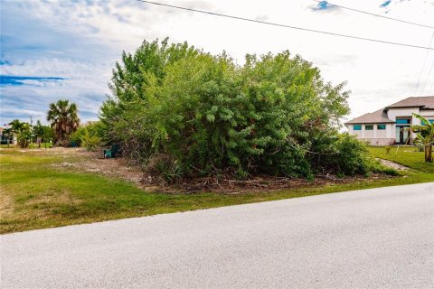 Land in Port Charlotte, Florida № 966287 - photo 8