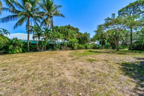 Land in Jupiter, Florida № 1152133 - photo 29