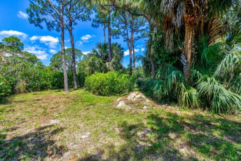 Land in Jupiter, Florida № 1152133 - photo 25