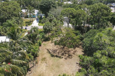 Terreno en venta en Jupiter, Florida № 1152133 - foto 2