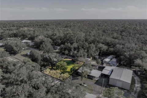 Terreno en venta en Haines City, Florida № 1403676 - foto 9