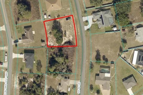 Terreno en venta en Ocala, Florida № 1430454 - foto 1