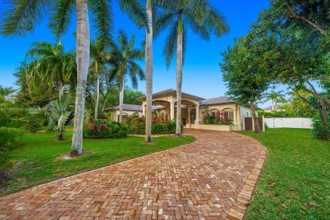 Villa ou maison à vendre à Pinecrest, Floride: 5 chambres, 449.46 m2 № 1097269 - photo 5