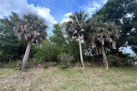 Купить земельный участок в Порт-Сент-Луси, Флорида № 1122405 - фото 7