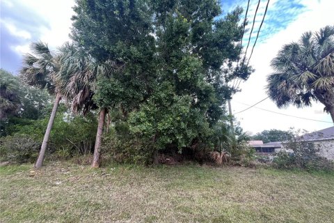 Купить земельный участок в Порт-Сент-Луси, Флорида № 1122405 - фото 6