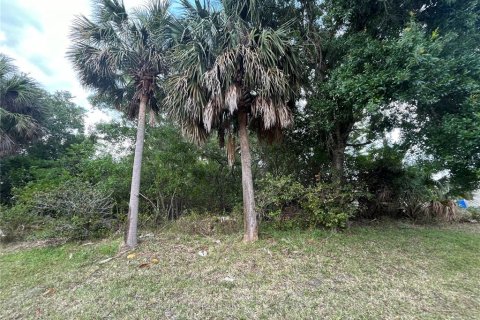 Купить земельный участок в Порт-Сент-Луси, Флорида № 1122405 - фото 4