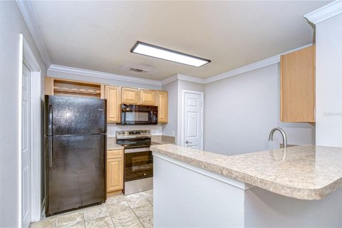 Condo in Tampa, Florida, 1 bedroom  № 1427902 - photo 14