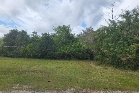 Propiedad comercial en venta en Homestead, Florida № 1402575 - foto 1