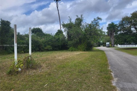 Propiedad comercial en venta en Homestead, Florida № 1402575 - foto 2