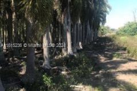 Propiedad comercial en venta en Miami, Florida № 1236887 - foto 3