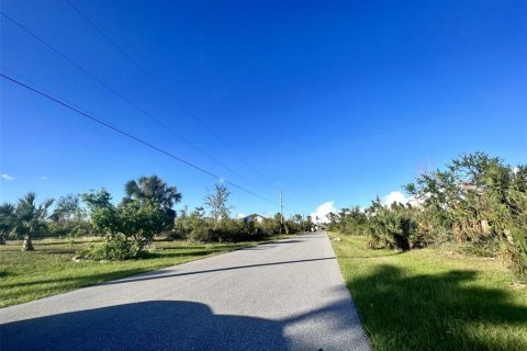 Купить земельный участок в Порт-Шарлотт, Флорида № 552247 - фото 3