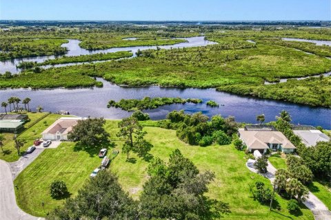 Terrain à vendre à Punta Gorda, Floride № 1381232 - photo 15