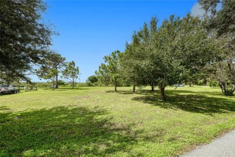 Terrain à vendre à Punta Gorda, Floride № 1381232 - photo 4