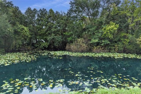 Land in Christmas, Florida № 1340179 - photo 5