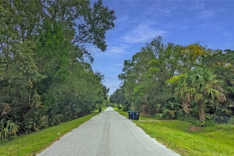 Terreno en venta en Christmas, Florida № 1340179 - foto 15