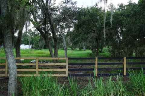 Terreno en venta en Plant City, Florida № 1340139 - foto 2