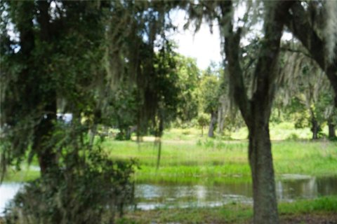 Terreno en venta en Plant City, Florida № 1340139 - foto 1