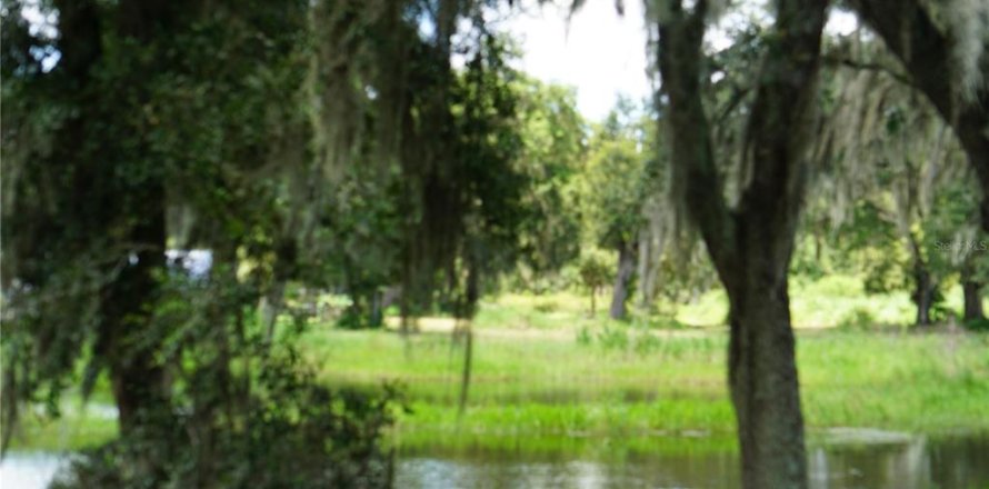 Terrain à Plant City, Floride № 1340139